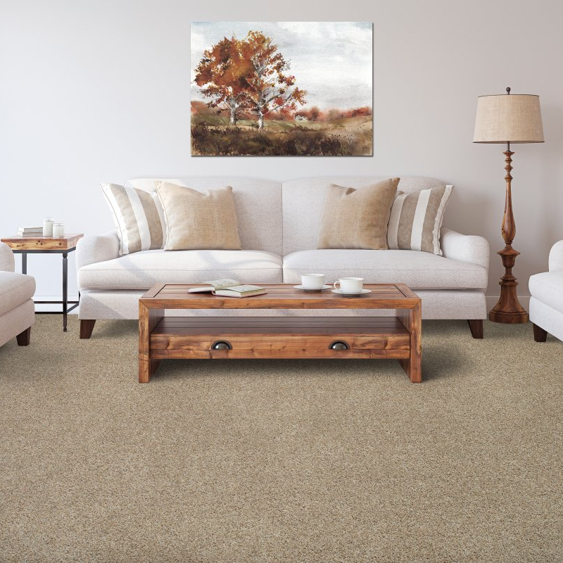 Elite Floors providing carpet in Winnipeg, MB Sp830-03